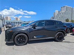 NX350h Fスポーツ
