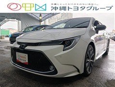 カローラツーリング WxB