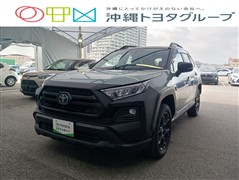 トヨタ RAV4アドベンチャーオフロード2