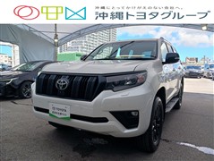 トヨタ ランクル プラドTX LマットBLC