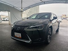 UX250h バージョンL