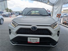 RAV4 PHEVブラックトーン