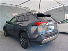 RAV4 HEV G