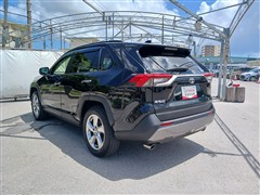 RAV4 G