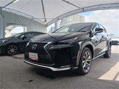 NX300h Fスポーツ