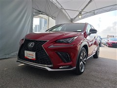 NX300 Fスポーツ