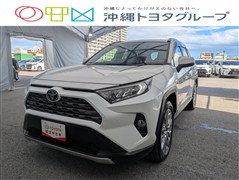 RAV4 G Zパッケージ