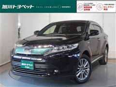ハリアーハイブリッド プログレス
