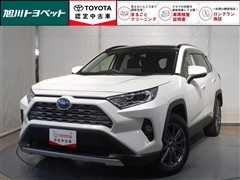 トヨタ　RAV4 ハイブリッドG