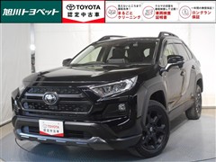 トヨタ　RAV4アドベンチャーオフロードP