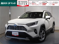 RAV4 ハイブリッドG
