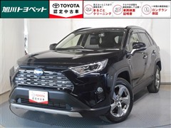 RAV4 ハイブリッドG