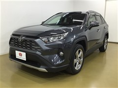 RAV4 G