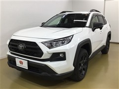 RAV4 アドベンチャー オフロート