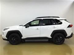 RAV4 アドベンチャー オフロート