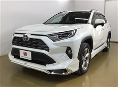 RAV4 HYBRID G