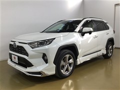 RAV4 HYBRID G