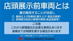 ムーヴキャンバス ストライプス G