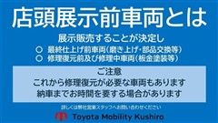 ヴォクシー ハイブリッド S-Z