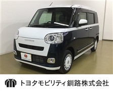 ムーヴキャンバスストライプスG