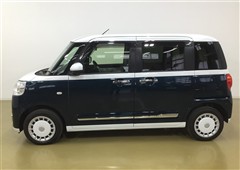 ムーヴキャンバスストライプスG