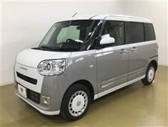 ムーヴキャンバス ストライプス G