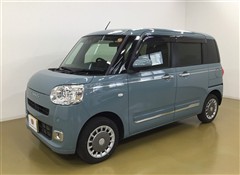 ムーヴキャンバス セオリー G
