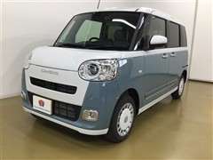 ムーヴキャンバス ストライプス G