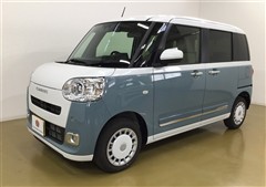 ムーヴキャンバス ストライプス G