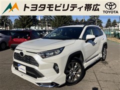 RAV4 G Zパッケージ