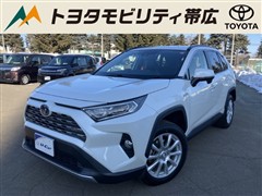 RAV4 HV G 4WD