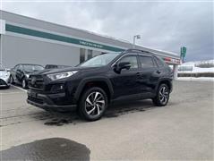 RAV4 アドベンチャー オフロート