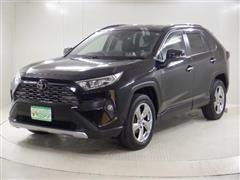 RAV4 G