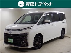 ヴォクシーHV S-Z