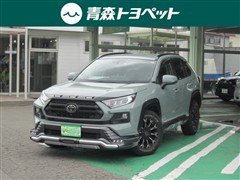 RAV4 アドベンチャー