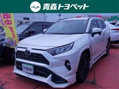 RAV4 X