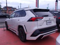 RAV4 X