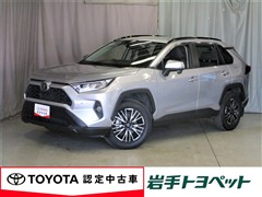 RAV4 X