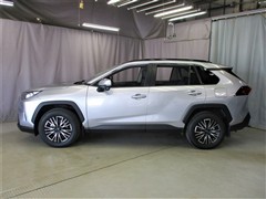 RAV4 X