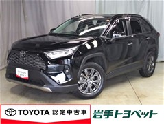 RAV4 G