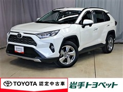 RAV4 G