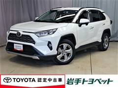 RAV4 G