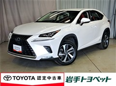 NX300h Iパッケージ