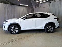 NX300h Fスポーツ