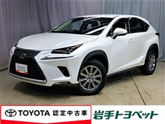 NX300h Iパッケージ