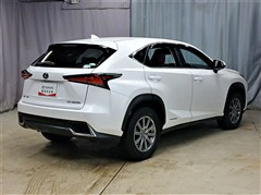 NX300h Iパッケージ