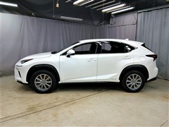 NX300h Iパッケージ