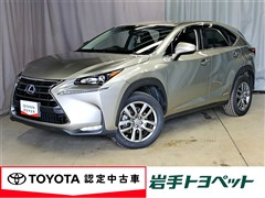 NX300h ヒョウジュンシャ