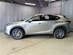 NX300h ヒョウジュンシャ