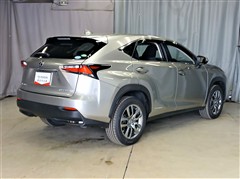 NX300h ヒョウジュンシャ